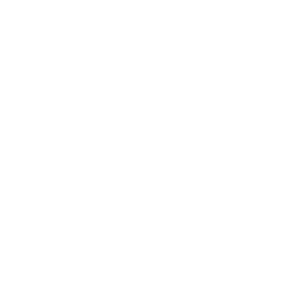 Iconw Monitor