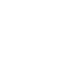 Iconw WiFi
